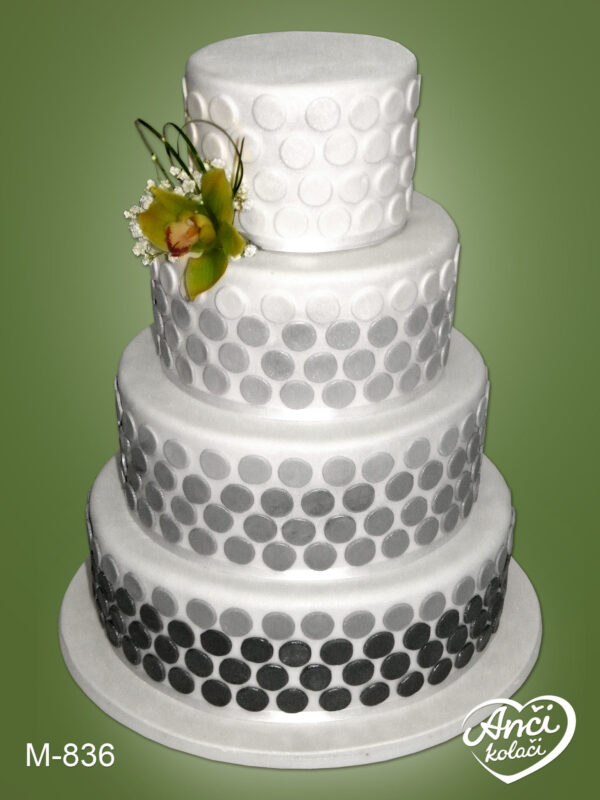 Raster torta